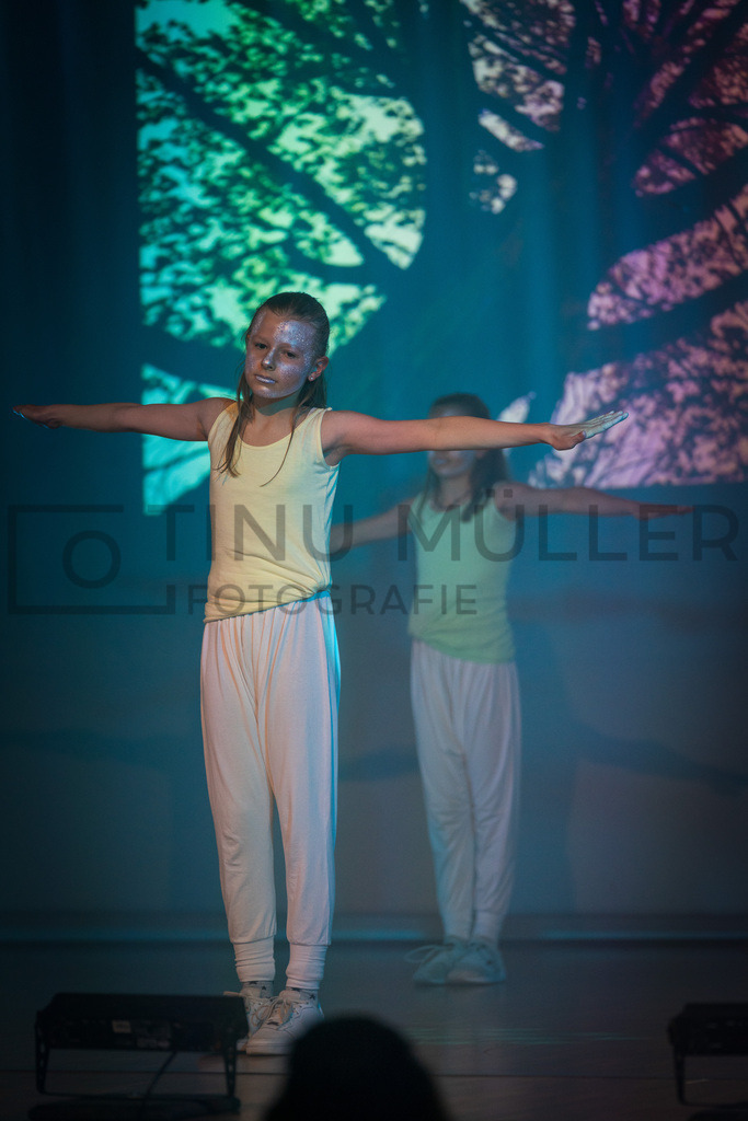 _DSC2248 | Tinu Müller Fotografie- Bildershop - Realisiert mit Pictrs.com