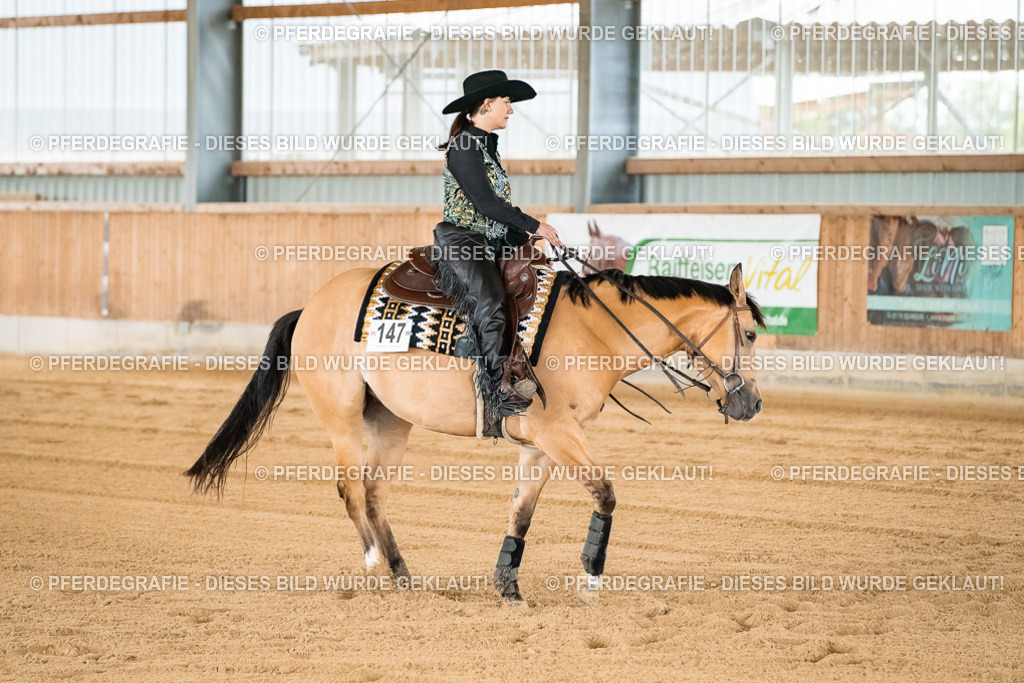 DSC02886 | Pferdegrafie