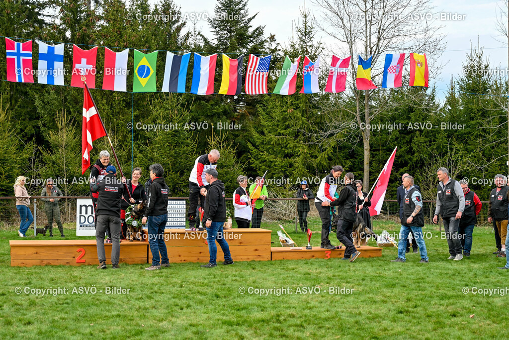 ASVÖ_ Tracking Dog World Championship 2025_ 05.04.2025-207 | bilder.asvo-sport - Realisiert mit Pictrs.com