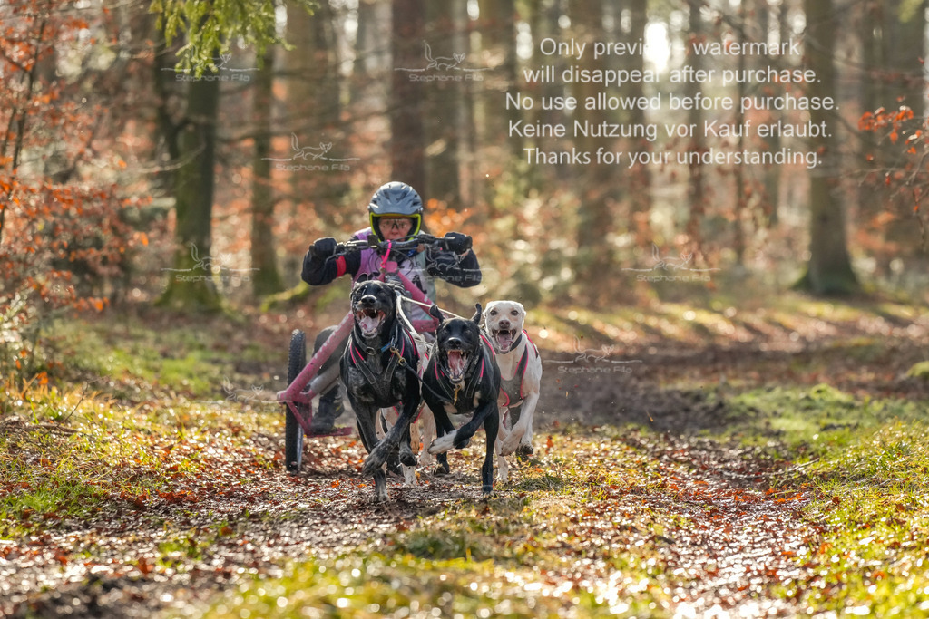 So_Gespanne-27 | stephaniefillaphotographie - Realisiert mit Pictrs.com