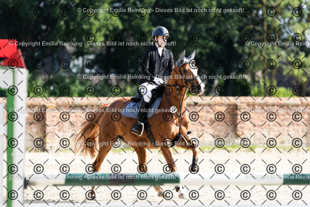 CL5A6170 | Emilia Reinking Fotografie - Realisiert mit Pictrs.com