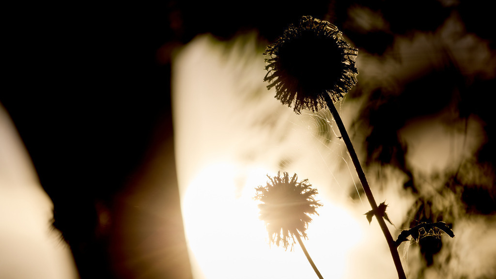 Im Abendlicht | kleinen-fotografie