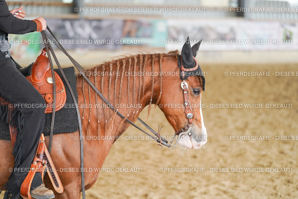 DSC02035 | Pferdegrafie