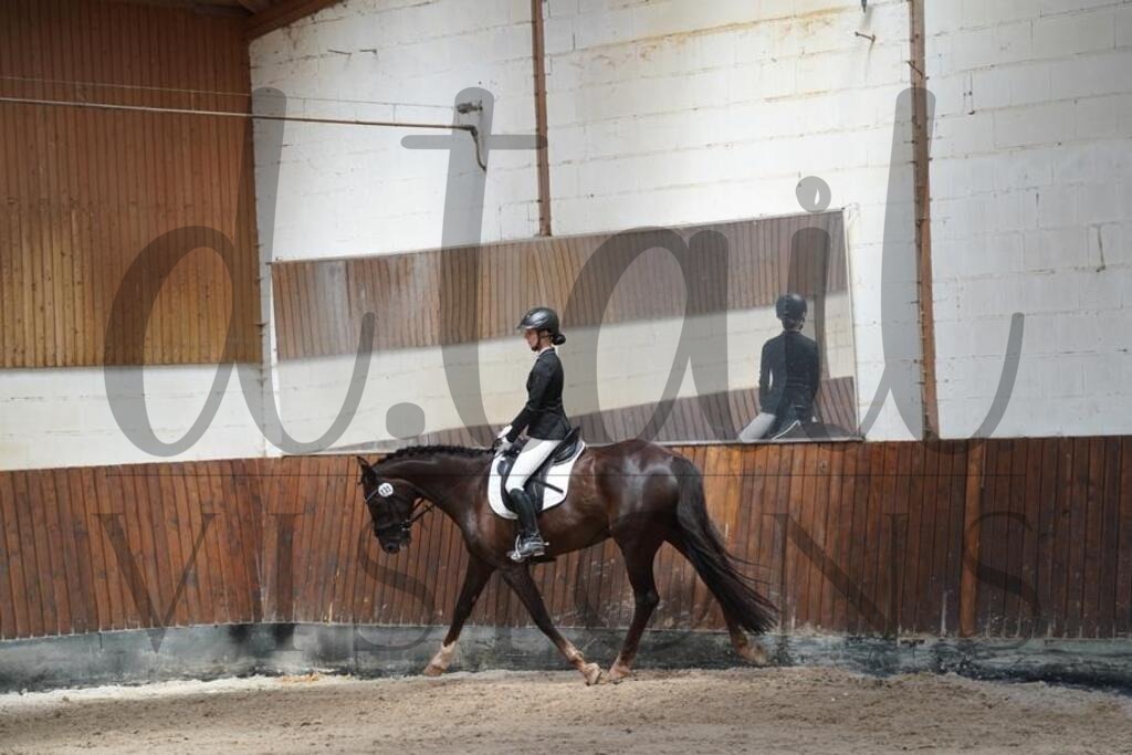 beckingen (355) | d.tail Visions - Shop - Realisiert mit Pictrs.com