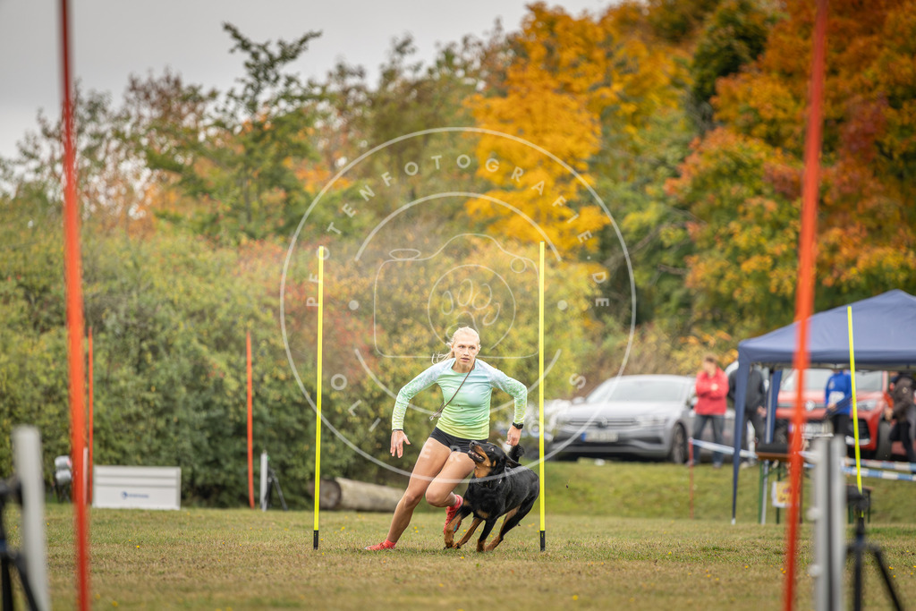 Pfotenfotografie_DV3A4134 | Hundefotografie, Tierfotograf, Pfotenfotografie, Fotoshooting Hund, Hunde Portrait, Hundesport, Hundeportraits, Heideshooting, Hunde, Sportfotograf, Hundefotograf, Turnierhundsport, THS,  - Realisiert mit Pictrs.com