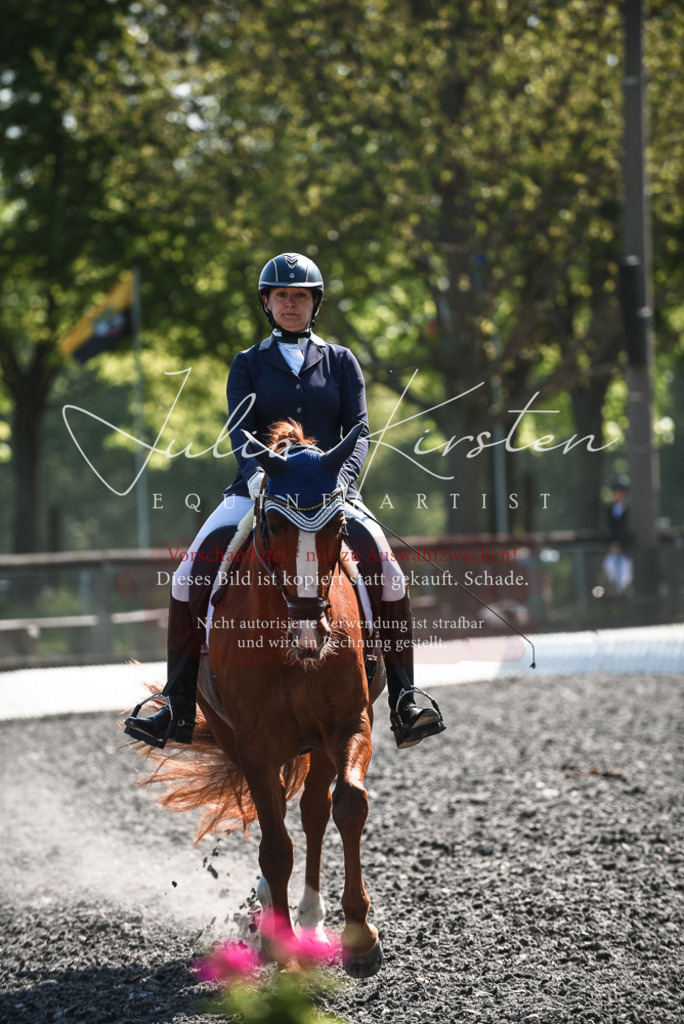 DSC_8843 | Pferde- und Turnierfotografie in Westsachsen. Pferdeportraits, Auftragszeichnungen und intuitive Kunst.