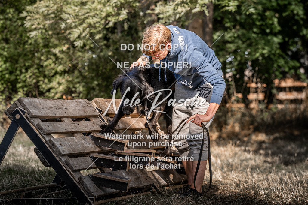 nelerasche_slaw24So_324 | nelerasche