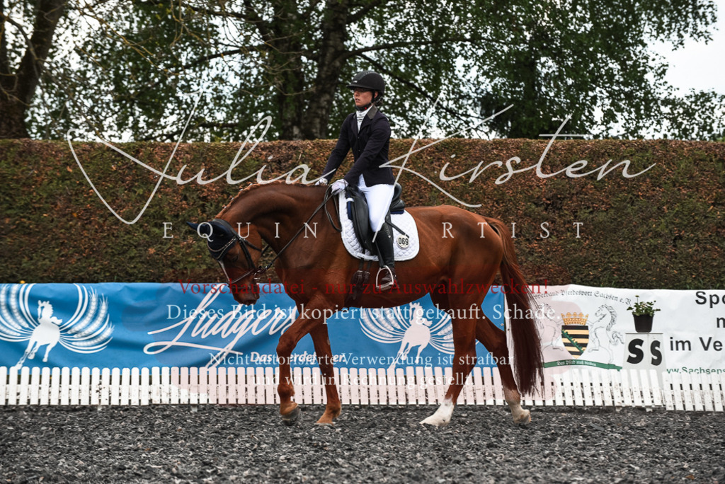 20230514_JK-Röhrsdorf-24-169 | Pferde- und Turnierfotografie in Westsachsen. Pferdeportraits, Auftragszeichnungen und intuitive Kunst.