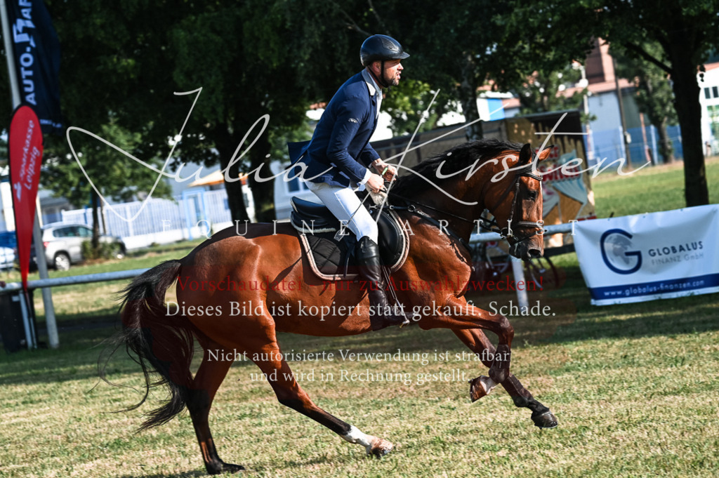 DSC_7416 | Pferde- und Turnierfotografie in Westsachsen. Pferdeportraits, Auftragszeichnungen und intuitive Kunst.