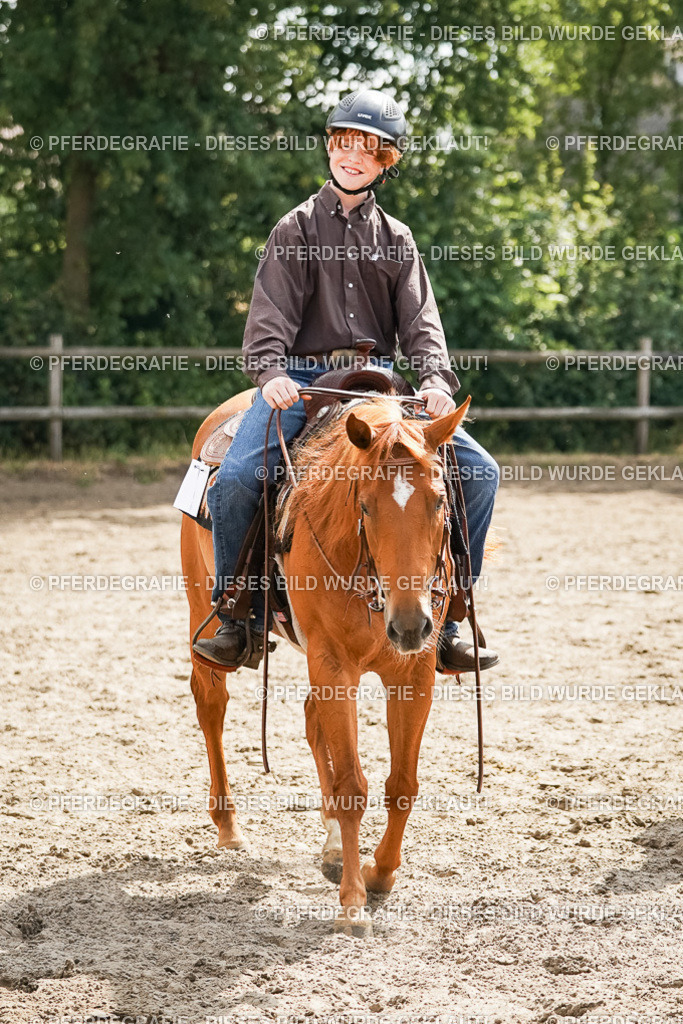 DSC05098 | Pferdegrafie