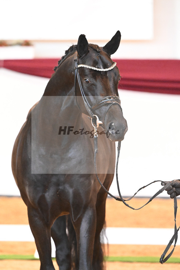 Kat-Nr. 8 v. Bon Courage_Maier_66220149 | hf-fotografie - Realisiert mit Pictrs.com
