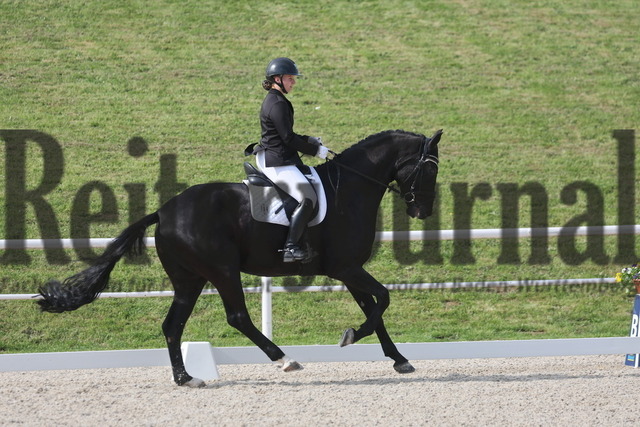 Birkhof_2024_Prfg.Nr.03_Dressurreiterprfg_Kl.L_Maja Schurr_Fitz Oblong 3 (9) | Alle Fotos der Reiterjournal Fotografin Doris Matthaes im Reiterjournal Online-Fotoshop. - Realisiert mit Pictrs.com