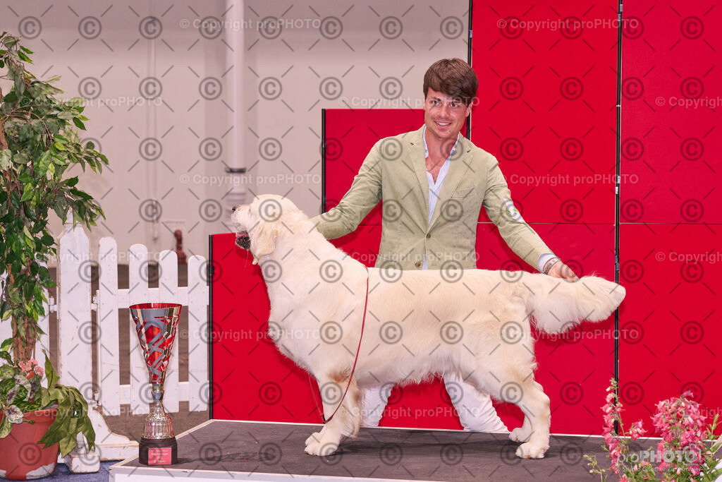 202406_ÖKV-IHA-Tulln24_NZ9_9615 | proPHOTO - Realisiert mit Pictrs.com