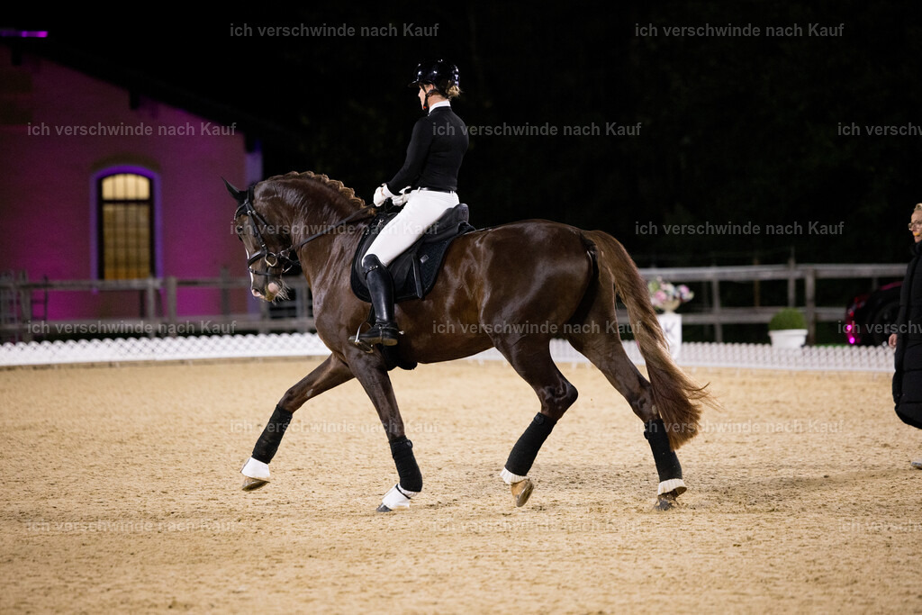 FHC2025 Isabell Werth-26076 | working equitationturnier fotograf videograf stoibphotography marixx film working equitation deutschland reitsport turnierfotografie eventfotografie equestrian events