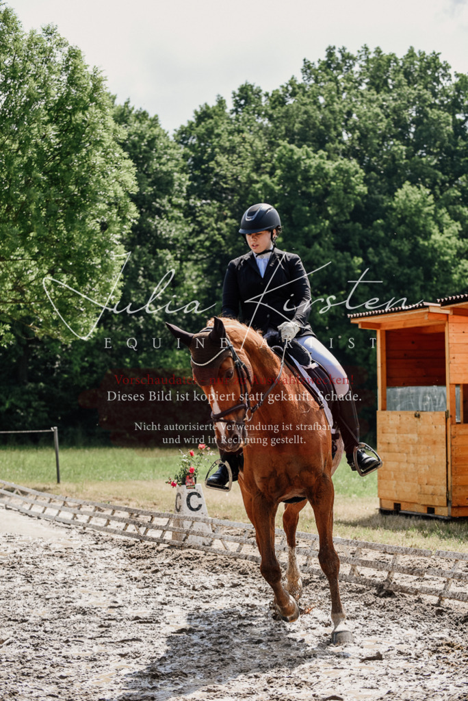 DSC_0271 | Pferde- und Turnierfotografie in Westsachsen. Pferdeportraits, Auftragszeichnungen und intuitive Kunst.
