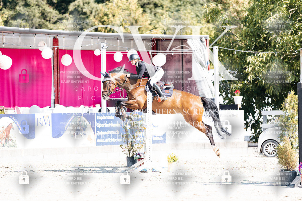 CK902688 | Turnierfotografie Pferdefotografie Trier Rheinland-Pfalz Pferdesport Reitsport Tierfotografie Sportfotografie Pferdevideo Pferdevideografie Equestrianvideography equestrianphotography  - Realisiert mit Pictrs.com