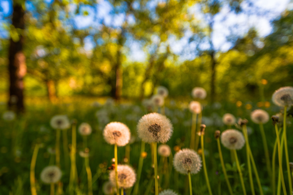 mühlsteintour_250426-114 | <div id="allefotografen-seal-verified-green"></div><script src="https://www.allefotografen.de/956728/seal-verified-green/seal.js" async="async"></script> - Realisiert mit Pictrs.com