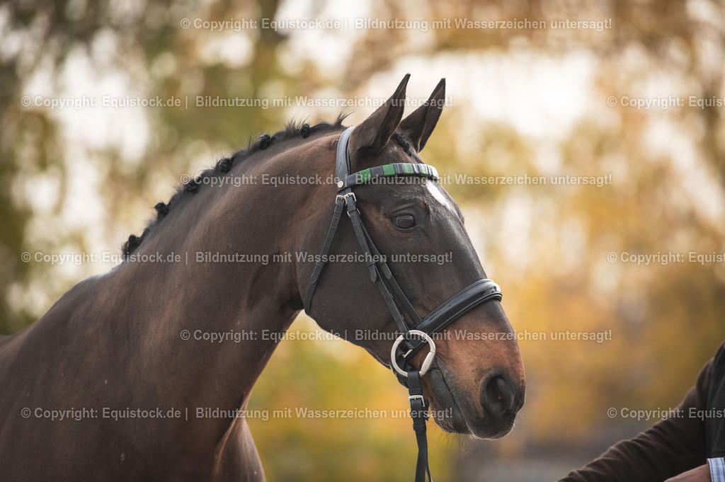 20251114_Boyd-Exell_TOMSPIC_0039 | Foto: Thomas Hartig