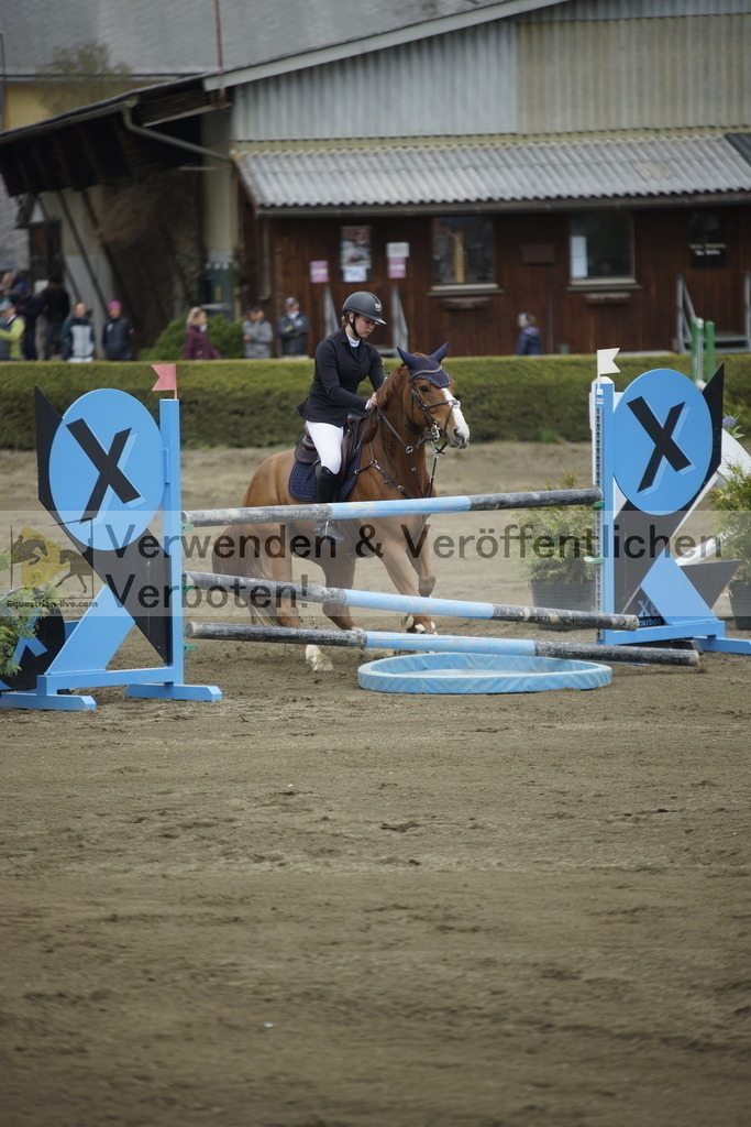 _DSC7312 | equestrian-live-com