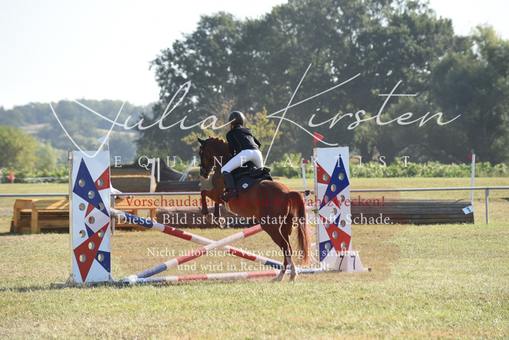 DSC_5696 | Pferde- und Turnierfotografie in Westsachsen. Pferdeportraits, Auftragszeichnungen und intuitive Kunst.