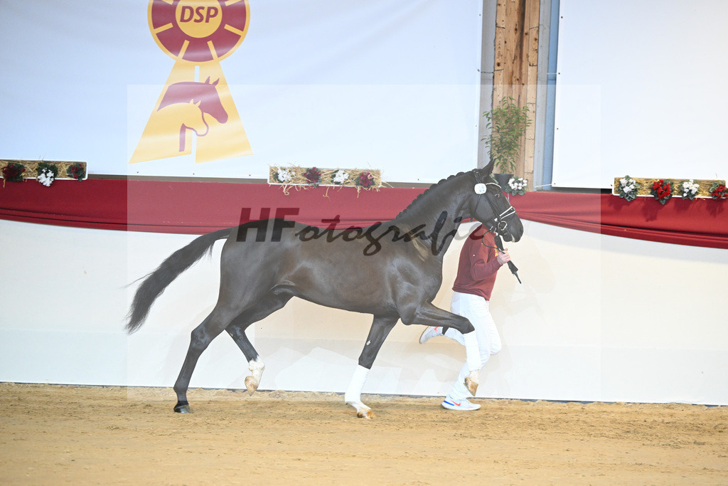 Kat-Nr. 69 Sezuan_Klausing GbR_1231376 | hf-fotografie - Realisiert mit Pictrs.com