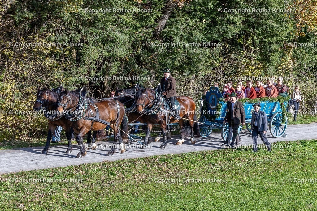LBT24-595 | foto-bettina-krinner - Realisiert mit Pictrs.com