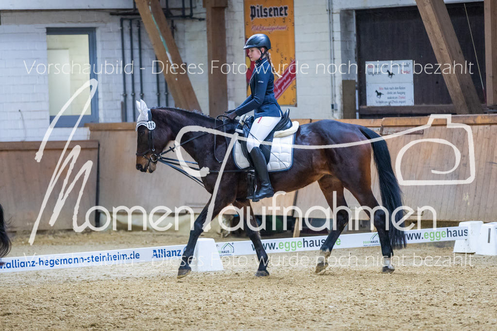 Sth-WBO25-RWBST-037 | MomenTaufnahmen Pferdesportfotos