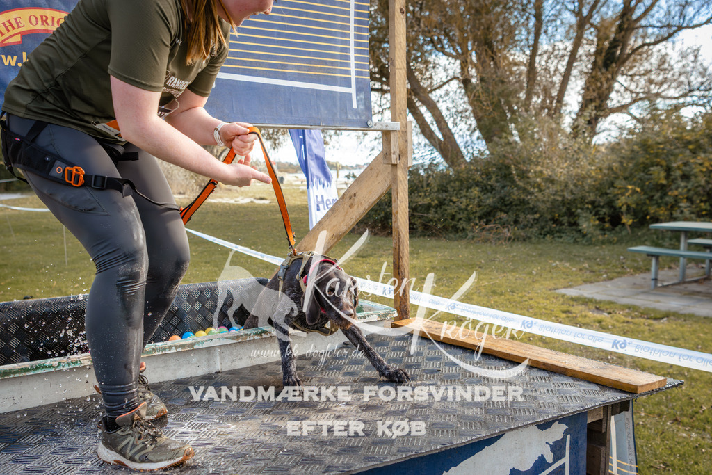 1505_ZZ95838 | kk-dogfotos