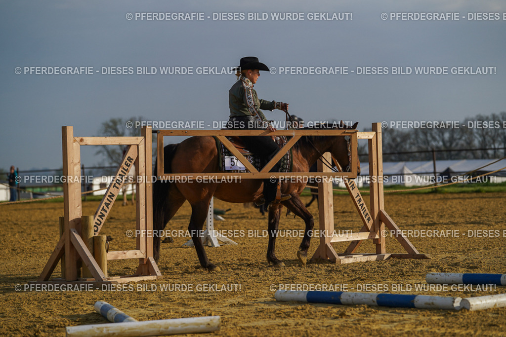 DSC00552 | Pferdegrafie