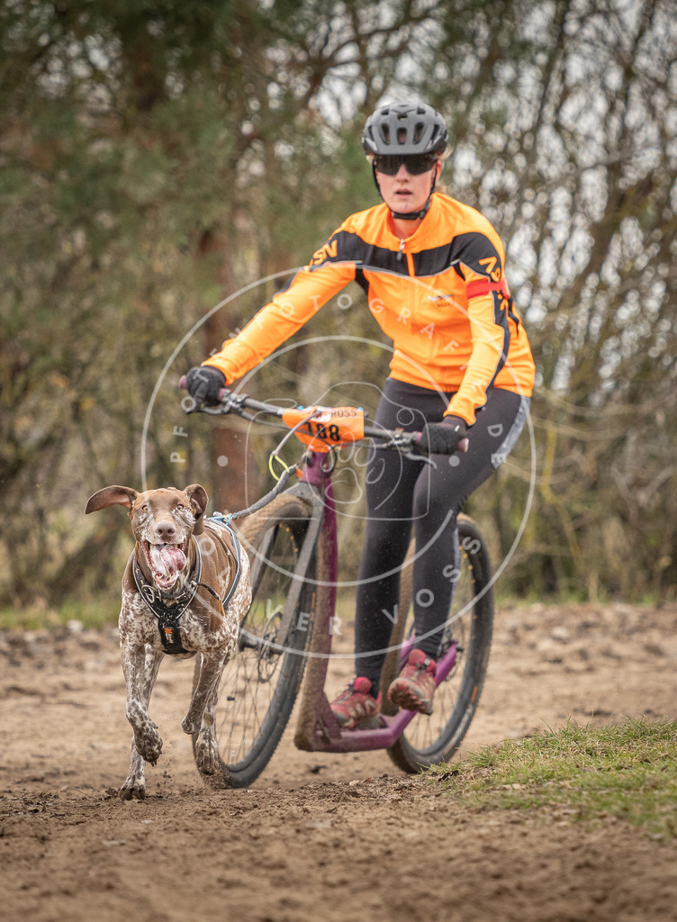 Pfotenfotografie_DV3A9851 | Hundefotografie, Tierfotograf, Pfotenfotografie, Fotoshooting Hund, Hunde Portrait, Hundesport, Hundeportraits, Heideshooting, Hunde, Sportfotograf, Hundefotograf, Turnierhundsport, THS,  - Realisiert mit Pictrs.com