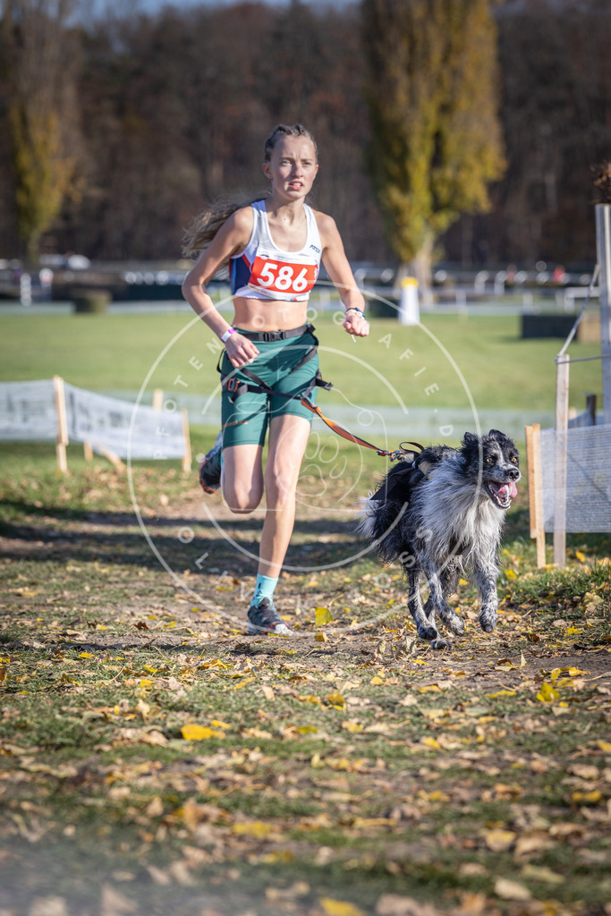 CaniXpix_DV3A9153 | Hundefotografie, Tierfotograf, Pfotenfotografie, Fotoshooting Hund, Hunde Portrait, Hundesport, Hundeportraits, Heideshooting, Hunde, Sportfotograf, Hundefotograf, Turnierhundsport, THS,  - Realisiert mit Pictrs.com