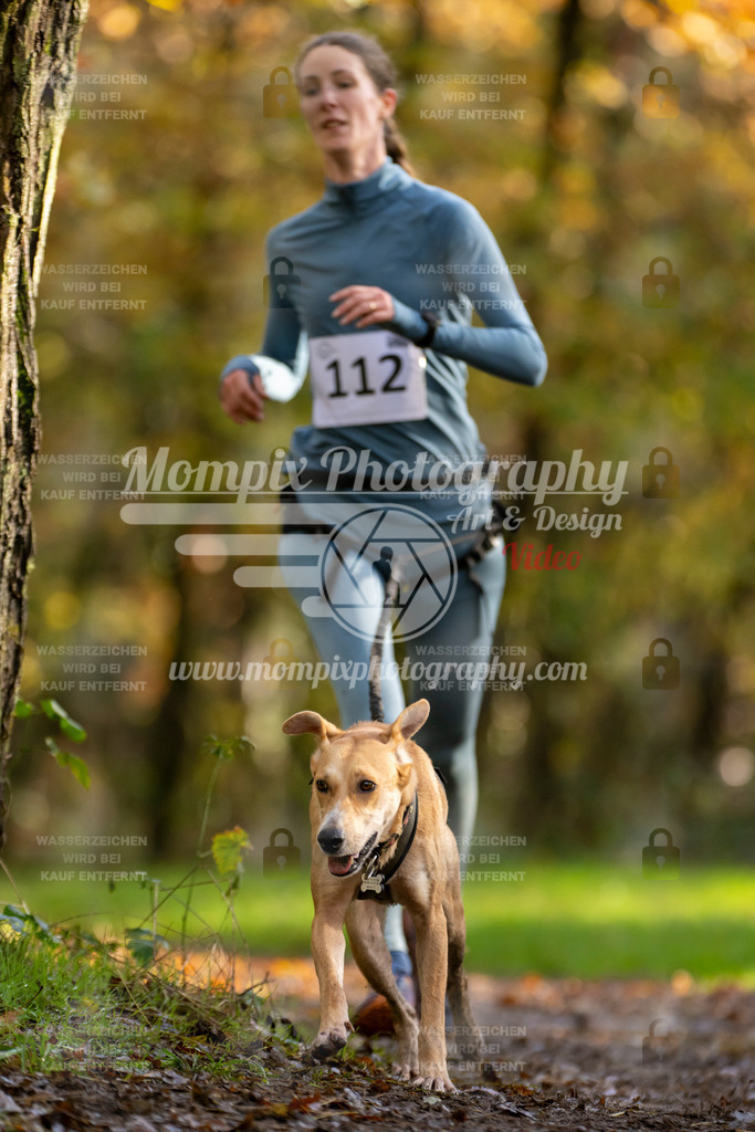 MompixPhotography_Bischwiller23_Canicross-80 | PayLife