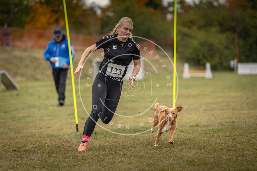 Pfotenfotografie_DV3A7483 | Hundefotografie, Tierfotograf, Pfotenfotografie, Fotoshooting Hund, Hunde Portrait, Hundesport, Hundeportraits, Heideshooting, Hunde, Sportfotograf, Hundefotograf, Turnierhundsport, THS,  - Realisiert mit Pictrs.com