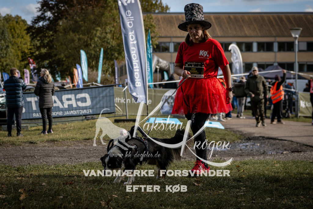 1316_ZZ92281 | kk-dogfotos