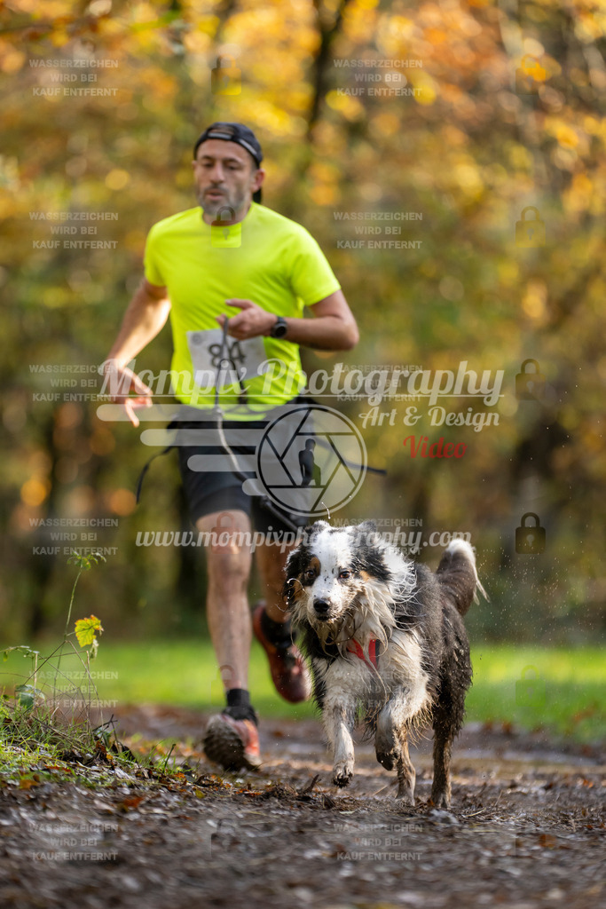 MompixPhotography_Bischwiller23_Canicross-15 | PayLife