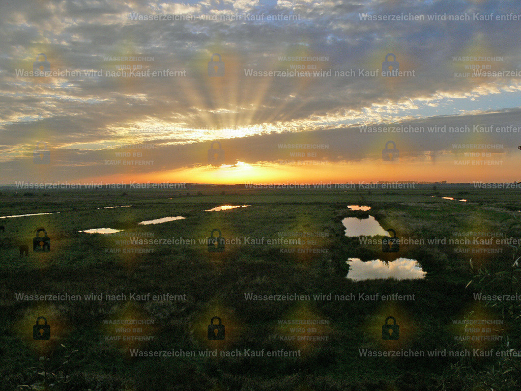 P1080497 | Fotoseite Wolkenblende - Das Hobby fotografieren begleitet mich schon  viele  Jahre. Auf den nächsten Seiten zeige ich ein paar Schnappschüsse der letzten Jahre und es kommen immer neue hinzu. Schau einfach mal rein. - Realisiert mit Pictrs.com
