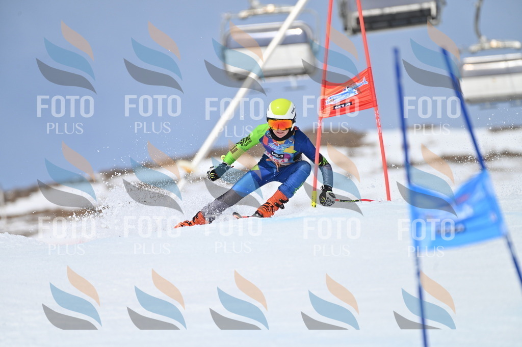 BGV_3902 | holidayphoto