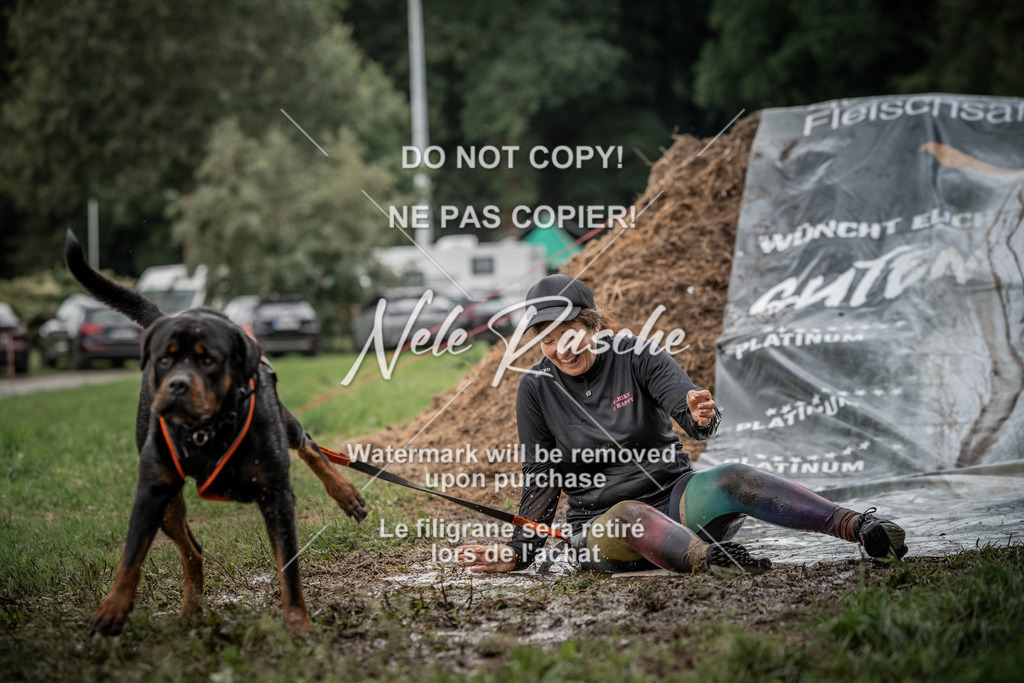 nelerasche_Wingst_Sa1300-1330_403 | nelerasche
