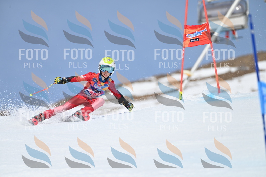 BGV_2718 | holidayphoto