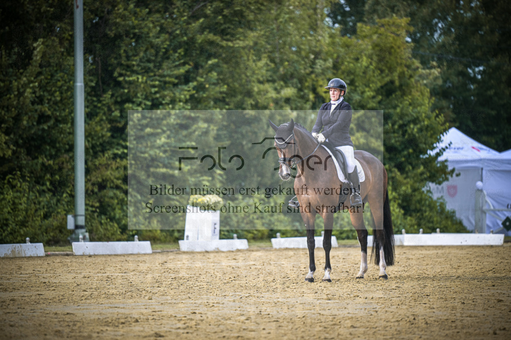 DOS_0193 | Entdecke hochwertige Reitturnierfotos von Foto Oger. Professionell, emotional und authentisch – jetzt Lieblingsmomente im Shop bestellen.Deutschlandweite Turnierfotografie. - Realisiert mit Pictrs.com