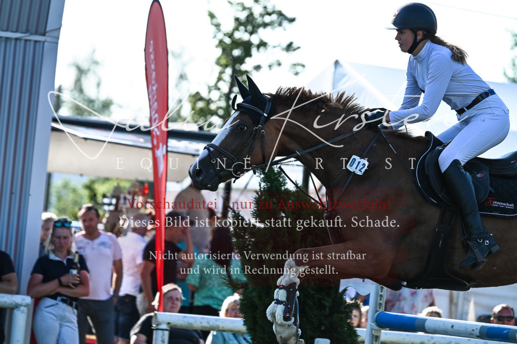 DSC_2785 | Pferde- und Turnierfotografie in Westsachsen. Pferdeportraits, Auftragszeichnungen und intuitive Kunst.