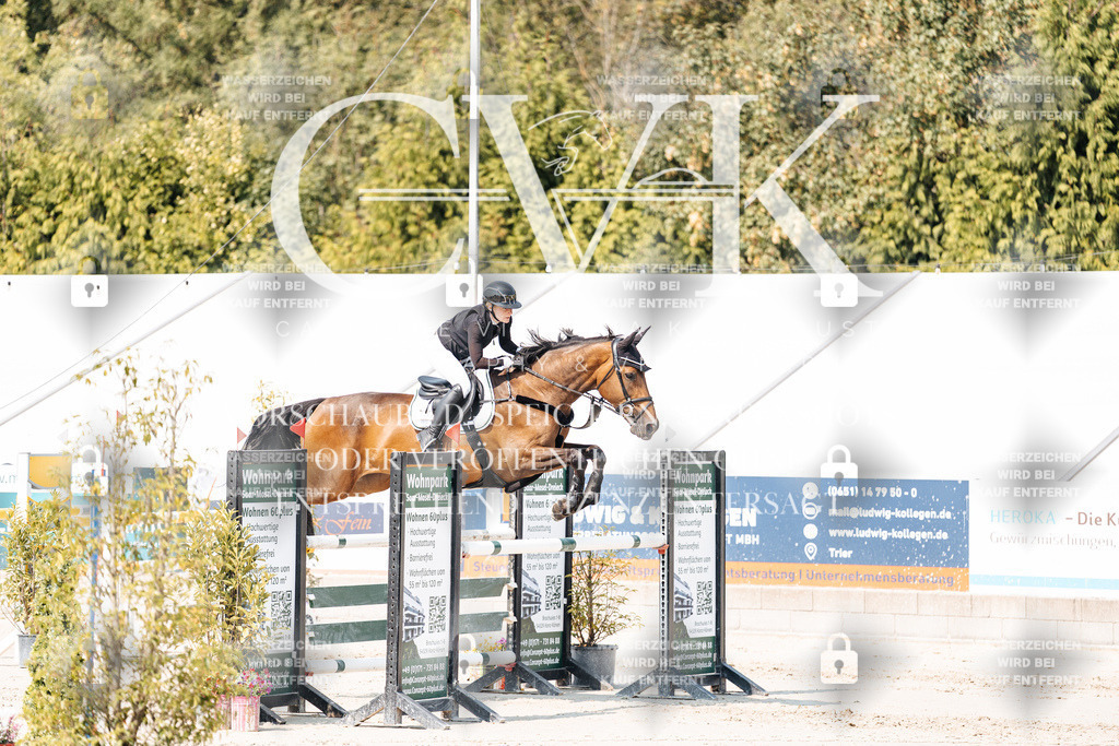 CK901759 | Turnierfotografie Pferdefotografie Trier Rheinland-Pfalz Pferdesport Reitsport Tierfotografie Sportfotografie Pferdevideo Pferdevideografie Equestrianvideography equestrianphotography  - Realisiert mit Pictrs.com