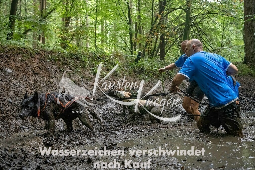 1350_ZZ90419-Bearbeitet | kk-dogfotos