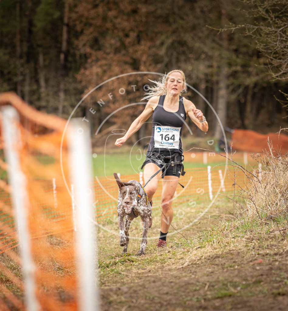 DV3A2038 | Hundefotografie, Tierfotograf, Pfotenfotografie, Fotoshooting Hund, Hunde Portrait, Hundesport, Hundeportraits, Heideshooting, Hunde, Sportfotograf, Hundefotograf, Turnierhundsport, THS,  - Realisiert mit Pictrs.com