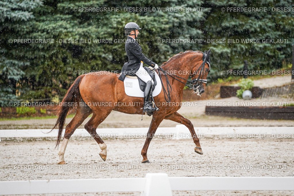 DSC09001 | Pferdegrafie