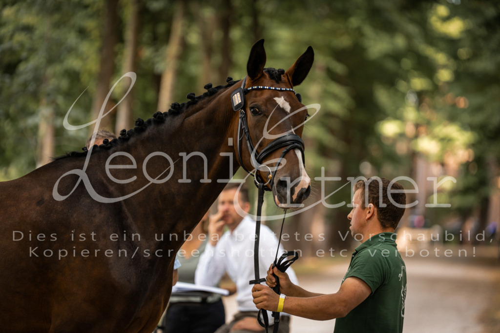 FrPfM00011 | Leoni Ertmer Photography - Realisiert mit Pictrs.com