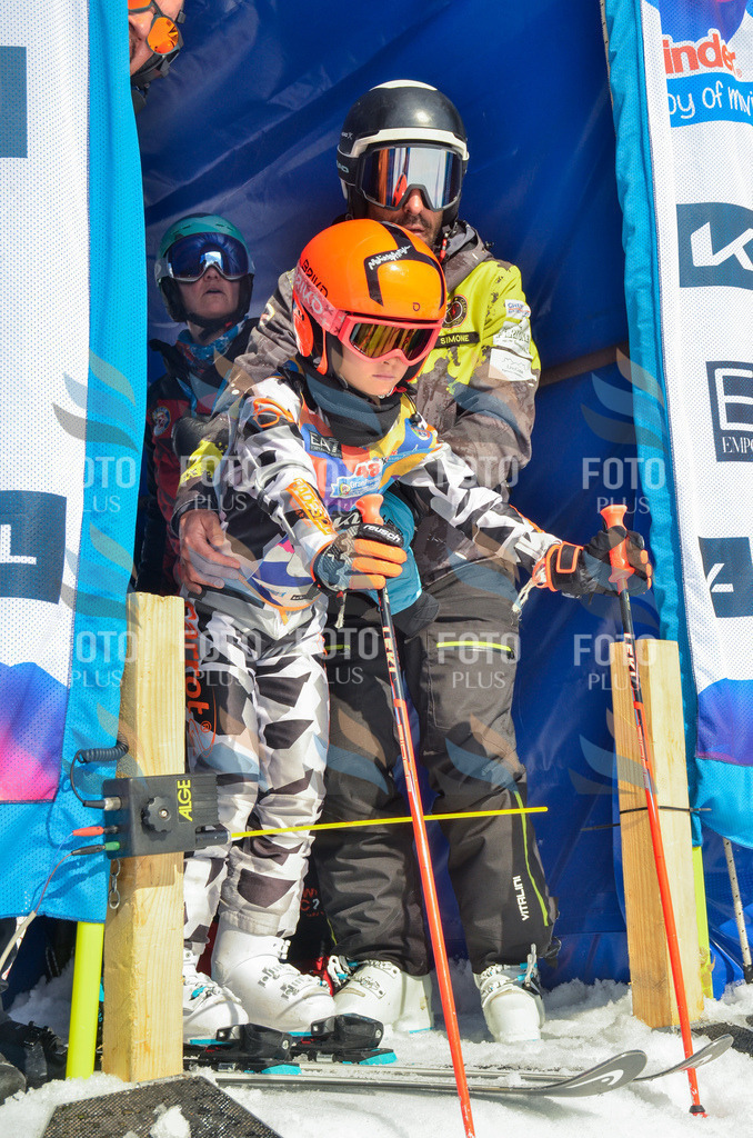 _ELE5539 | holidayphoto