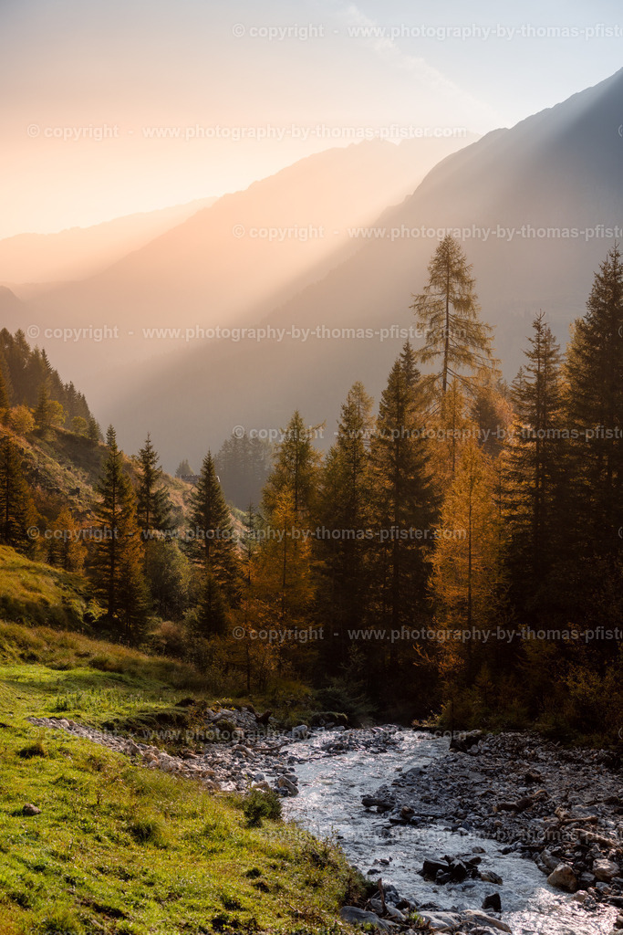 Aigen Aste Tux Herbst copyright  Thomas Pfister-2 | PHOTOGRAPHY BY THOMAS PFISTER