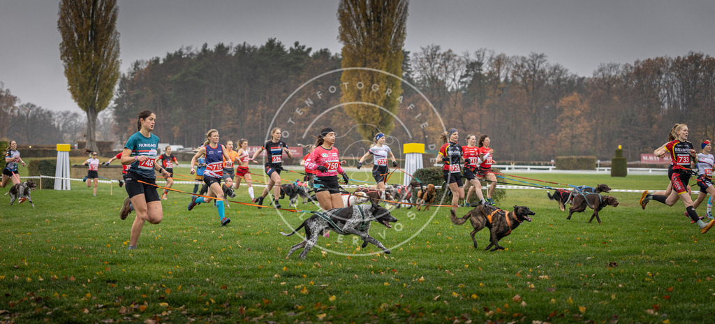 CaniXpix_DV3A8798 | Hundefotografie, Tierfotograf, Pfotenfotografie, Fotoshooting Hund, Hunde Portrait, Hundesport, Hundeportraits, Heideshooting, Hunde, Sportfotograf, Hundefotograf, Turnierhundsport, THS,  - Realisiert mit Pictrs.com