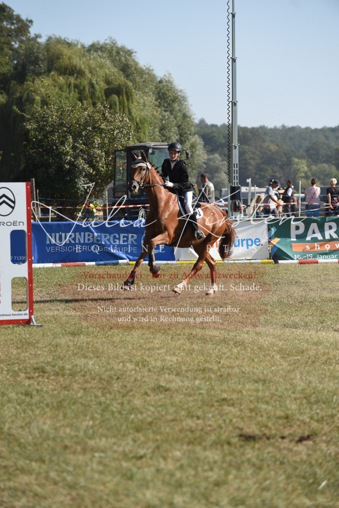 DSC_6043 | Pferde- und Turnierfotografie in Westsachsen. Pferdeportraits, Auftragszeichnungen und intuitive Kunst.